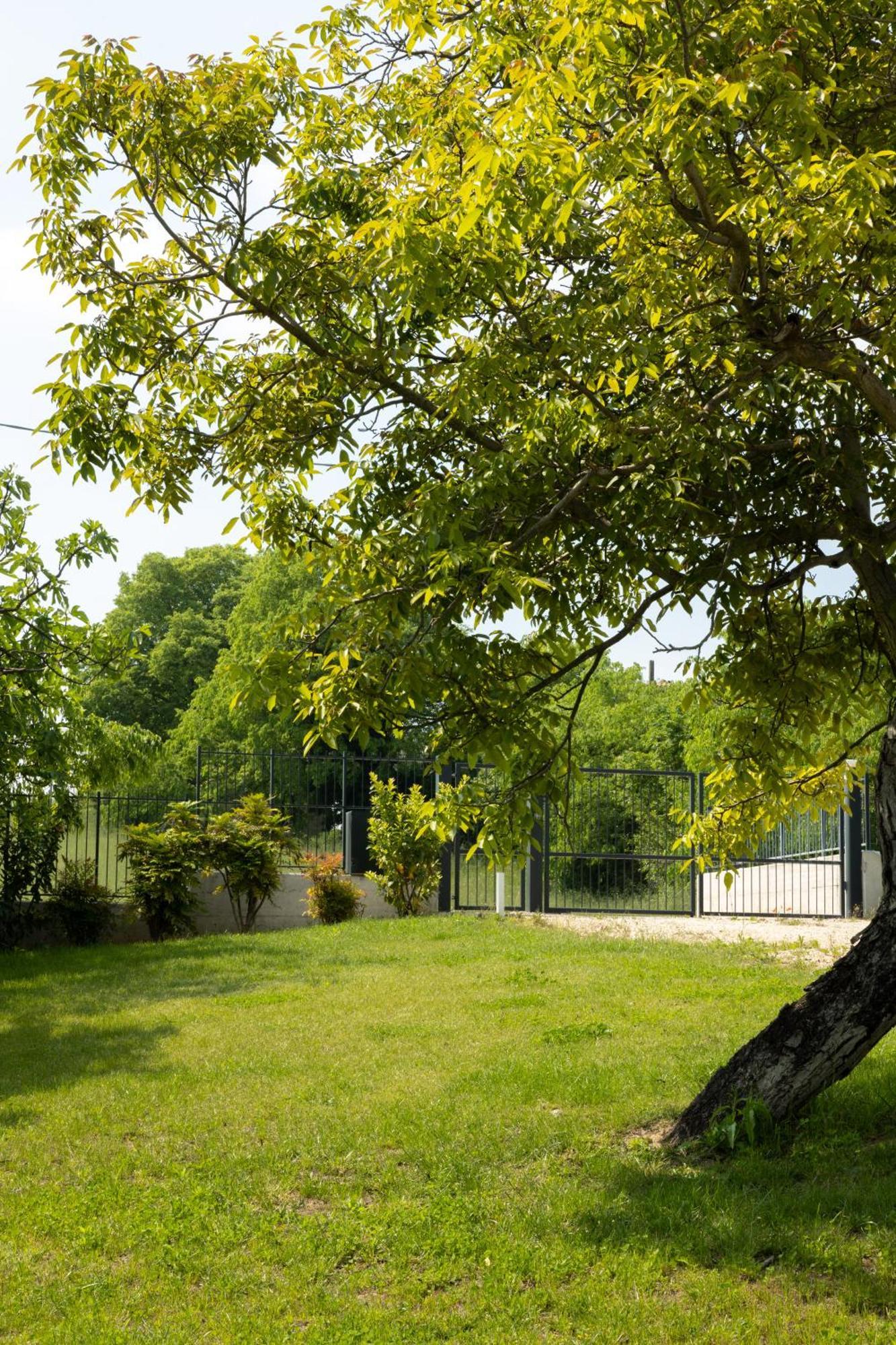 Bed And Breakfast Le Giale Castelnuovo del Garda Dış mekan fotoğraf